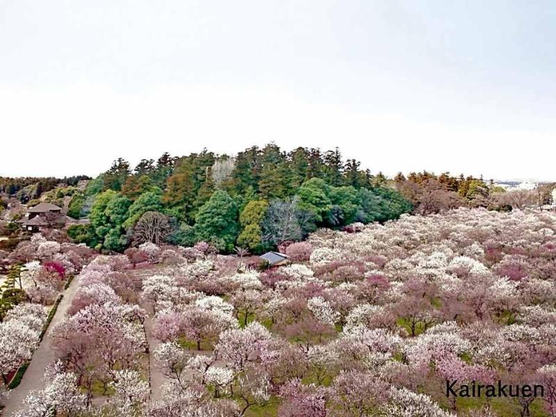Mito Keisei Hotel image