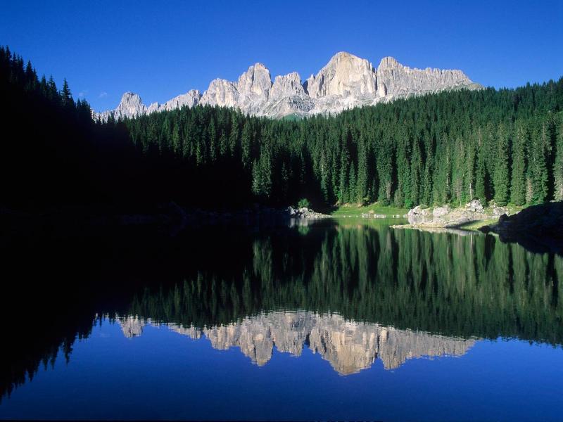 Zirm image