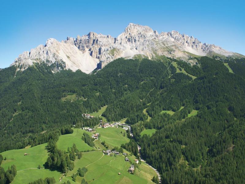 Zirm image