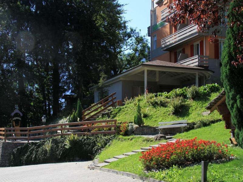 Berghof Amaranth image