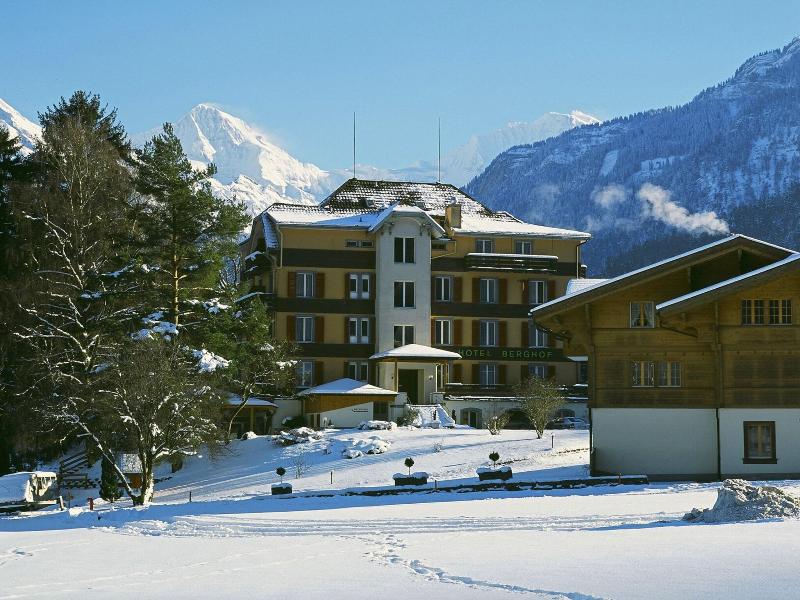 Berghof Amaranth image