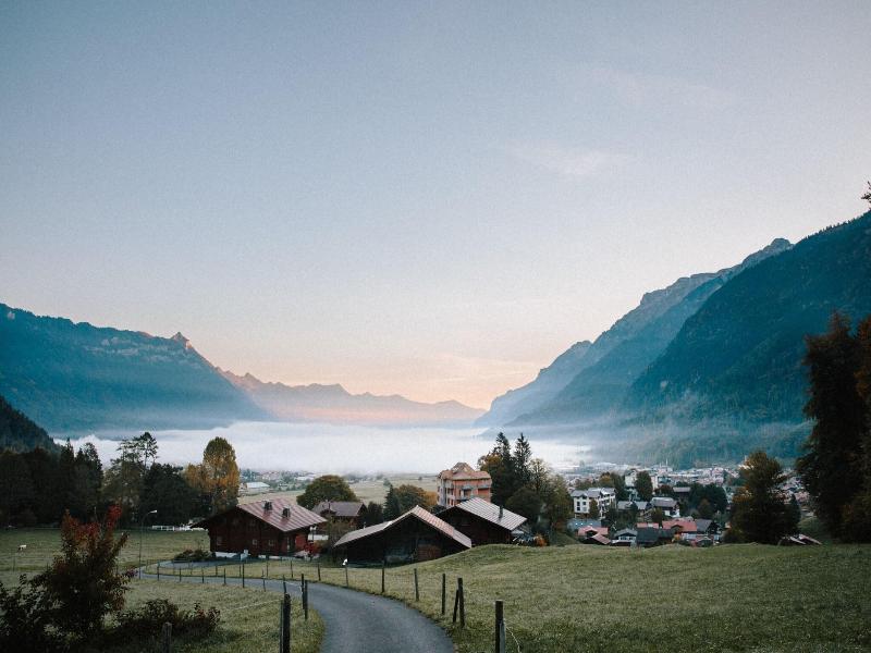 Berghof Amaranth image