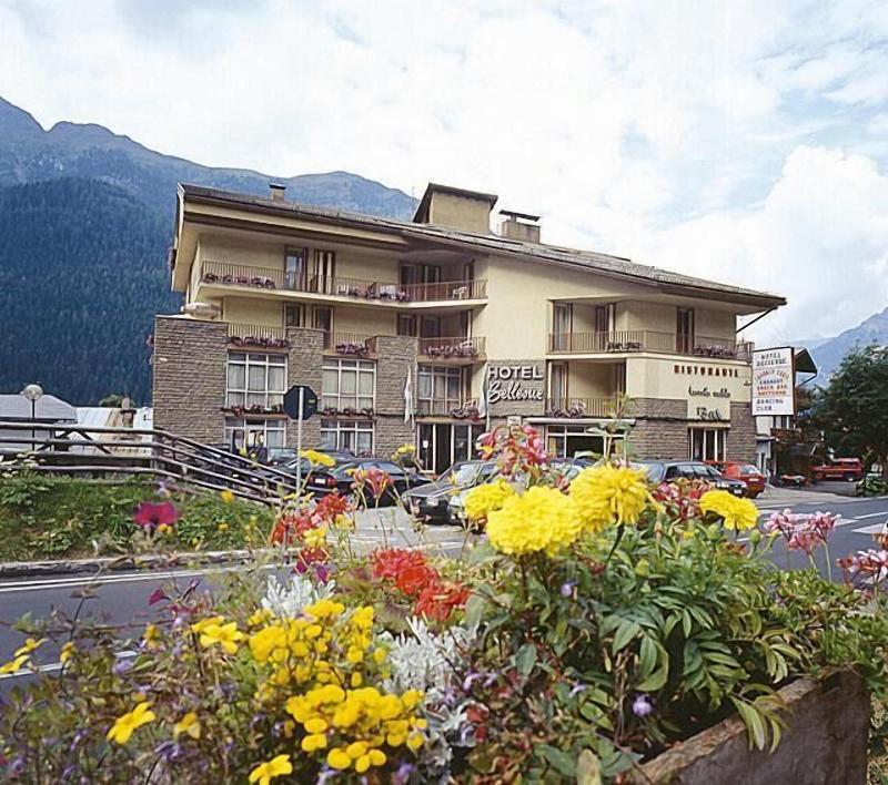 Bellevue image