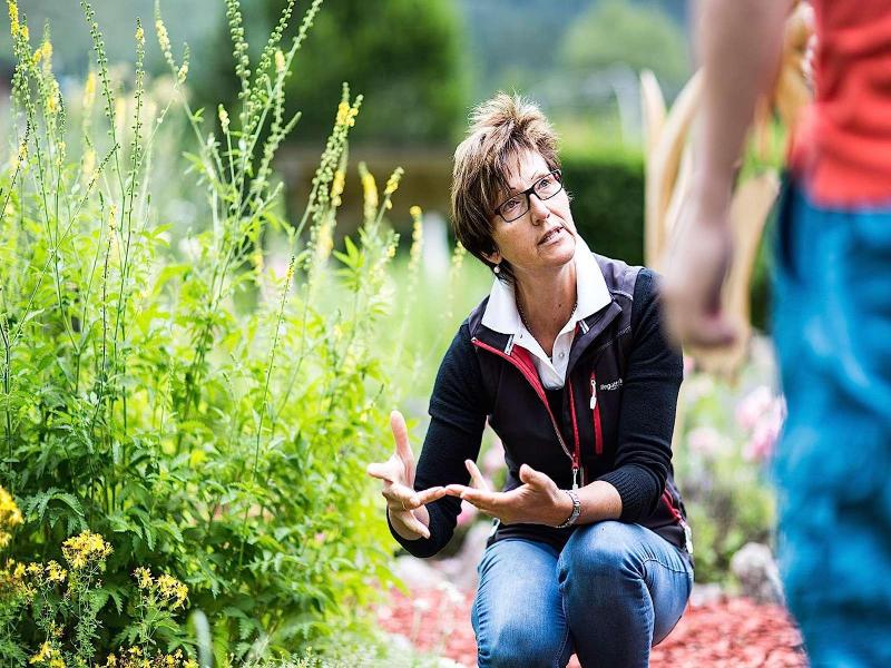 Liebes Rot-Flüh image