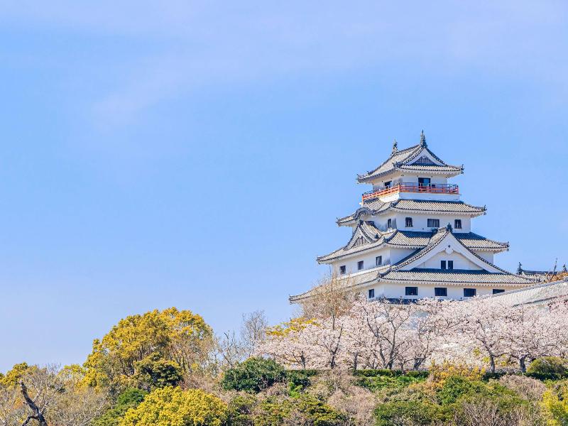 Mercure Saga Karatsu Resort image