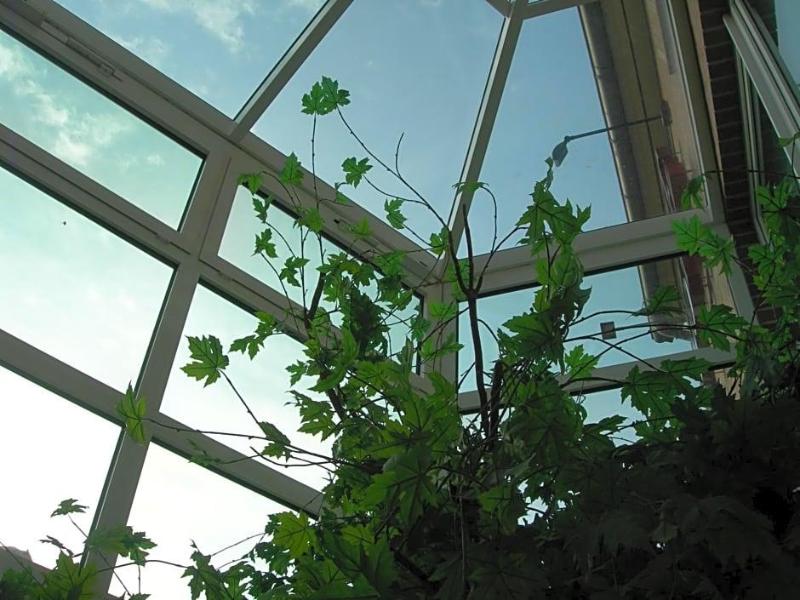 Aparthotel image