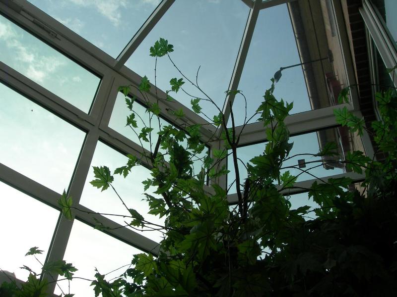 Aparthotel image