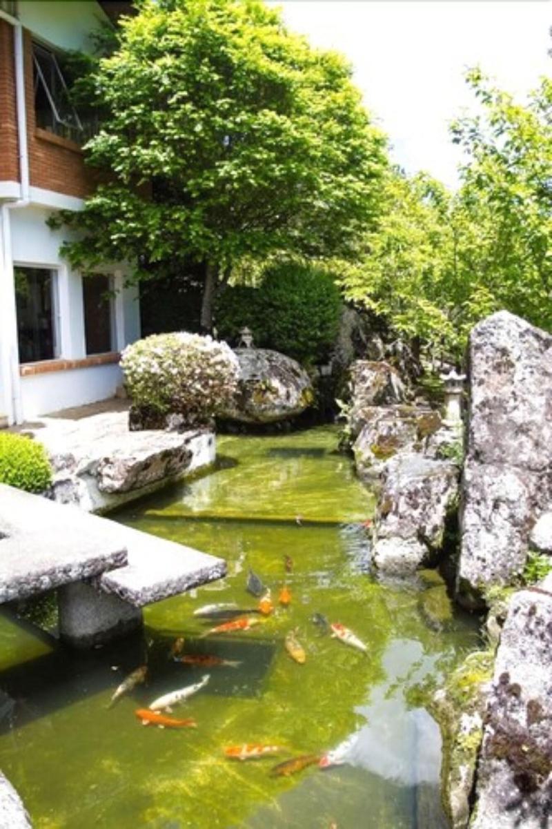 Matsubara image