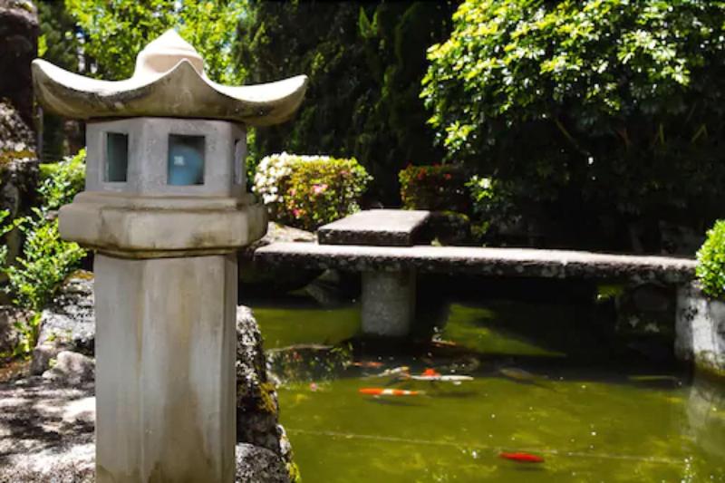 Matsubara image