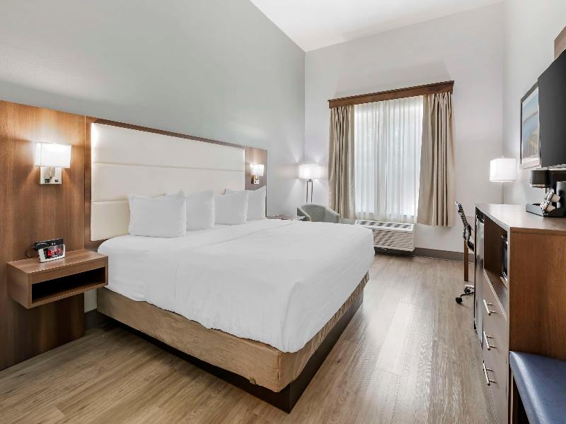 BEST WESTERN PLUS First Coast Inn & Suites image