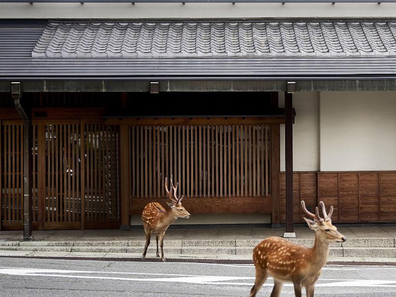 Yoshidaya image