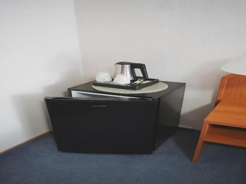 Zum Wikinger image