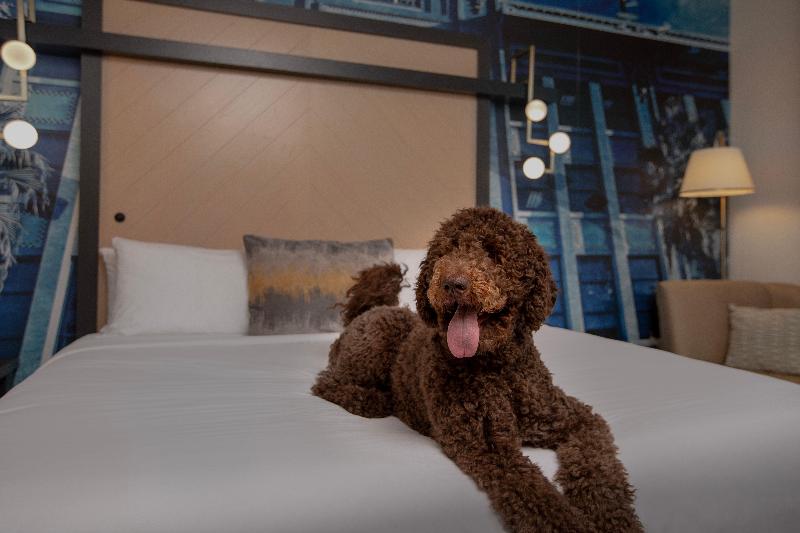 Hotel Indigo Jacksonville Deerwood Park