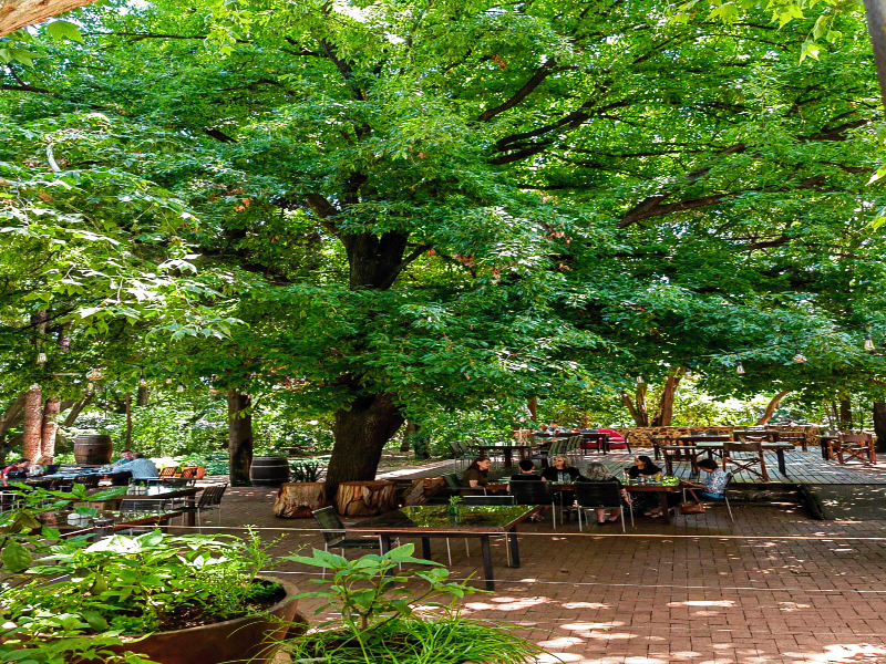 Kleinkaap Boutique Hotel image