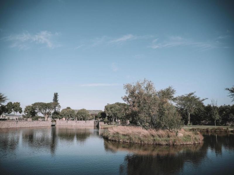 Riboville image