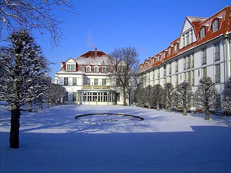Villa Heine image