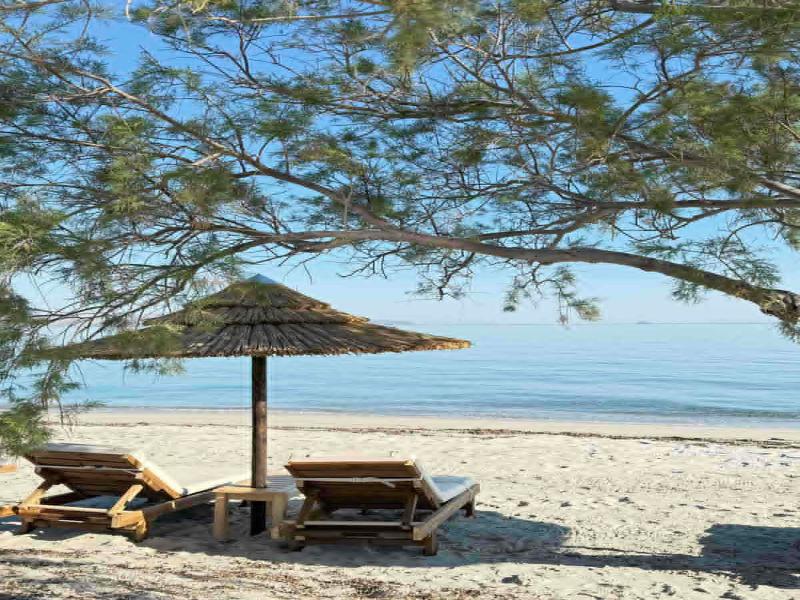 Kos Palace Hotel image