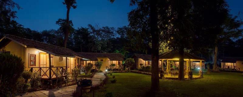 Safari Adventure Lodge