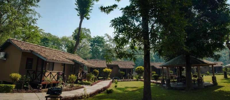 Safari Adventure Lodge