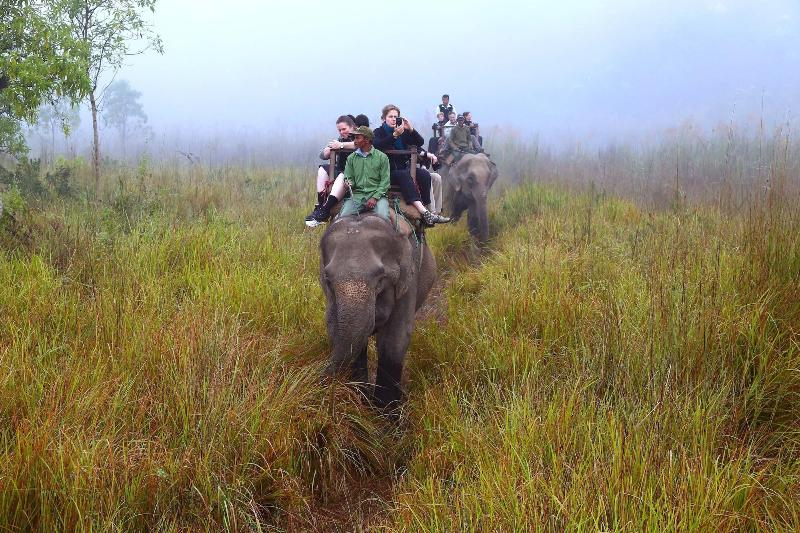 Safari Adventure Lodge