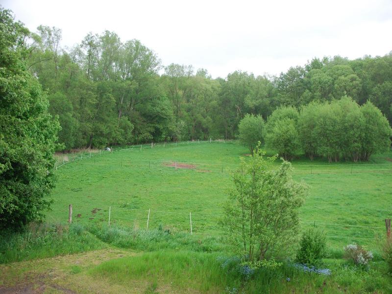 Am Steinertsee image