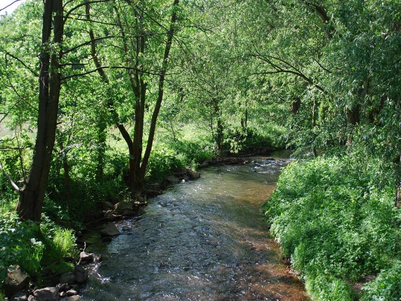 Am Steinertsee image