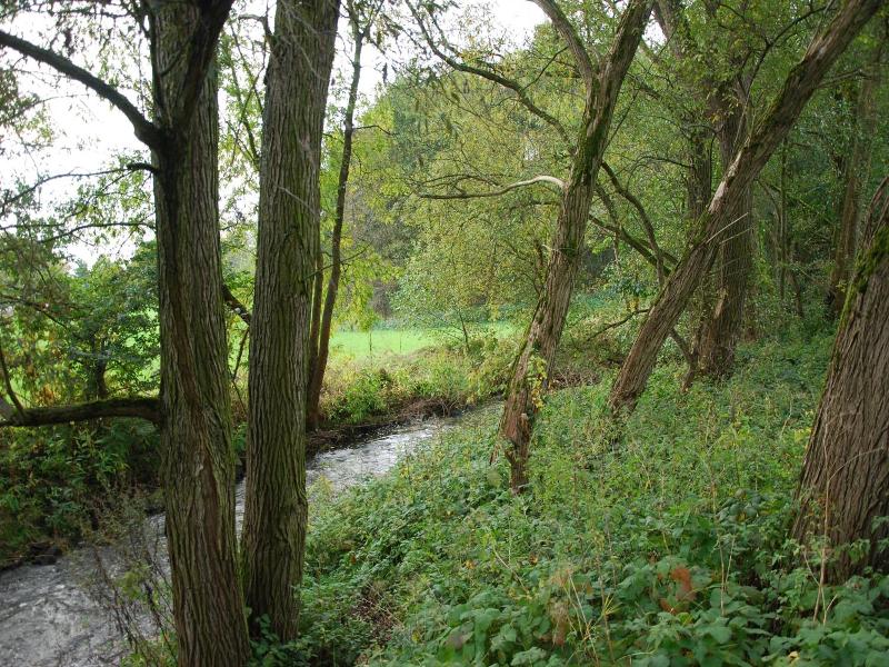 Am Steinertsee image