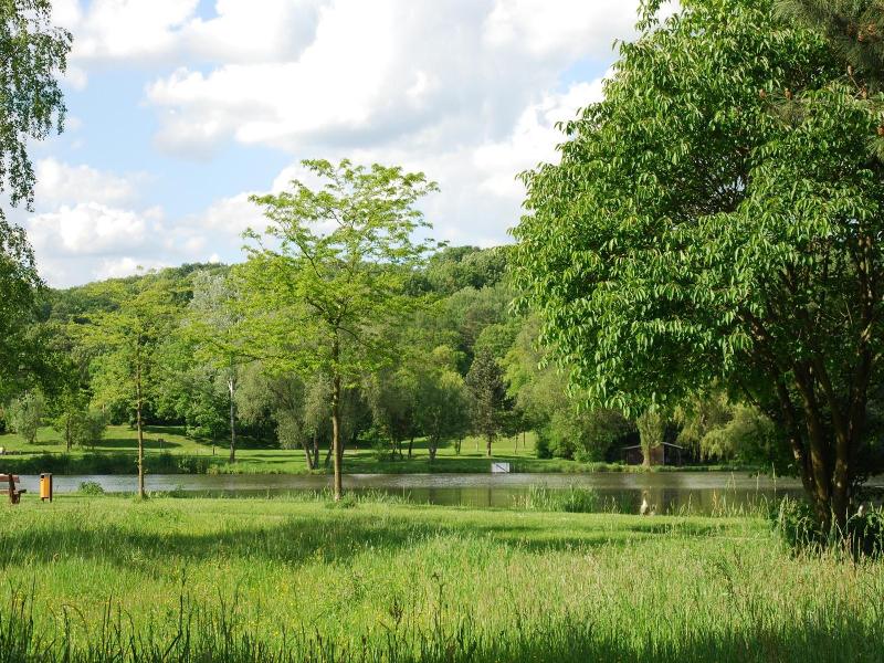 Am Steinertsee image
