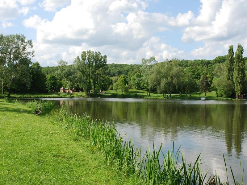 Am Steinertsee image