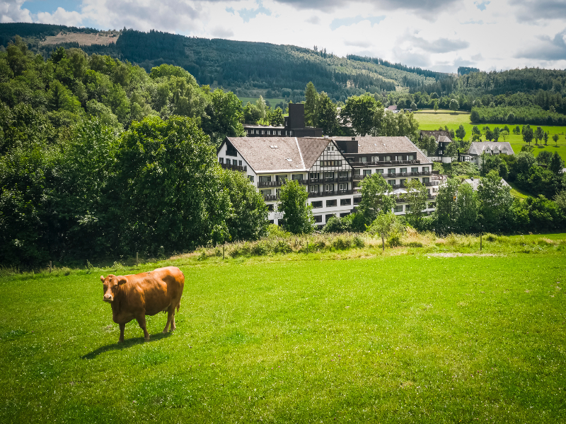 Sauerland Alpin Hotel image
