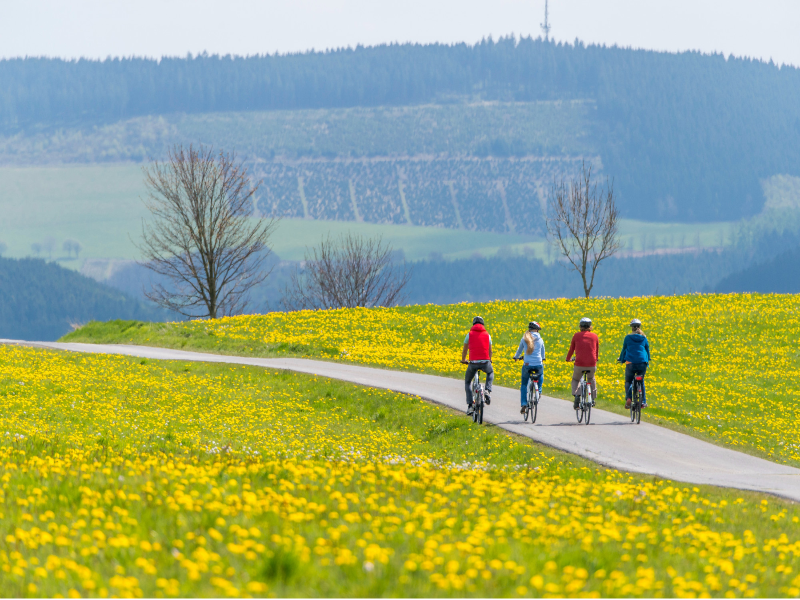 Sauerland Alpin Hotel image