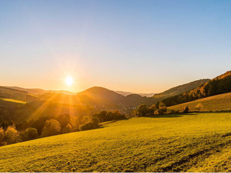 Sauerland Alpin Hotel image