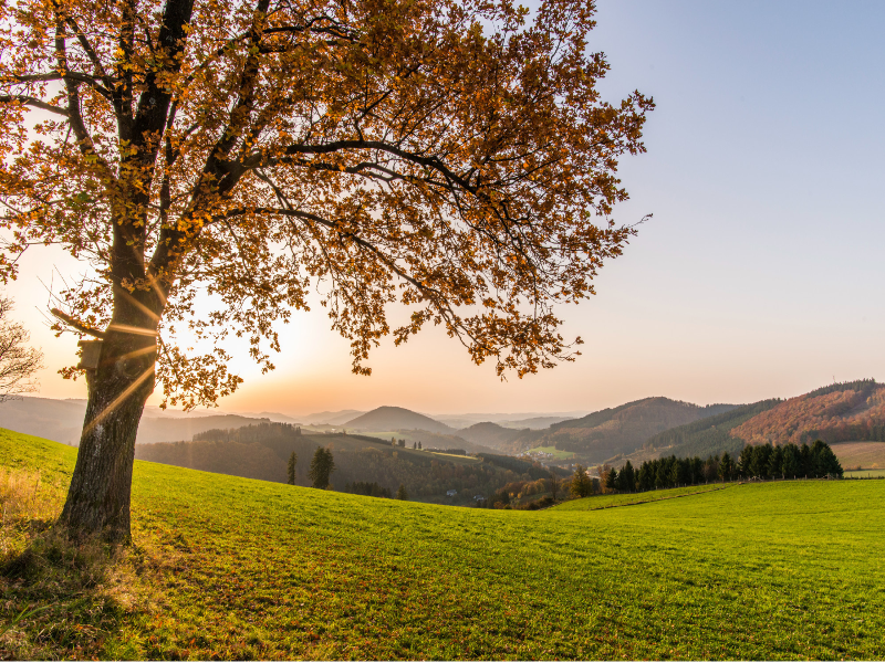 Sauerland Alpin Hotel image
