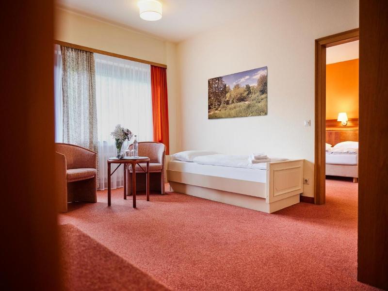 Sauerland Alpin Hotel image