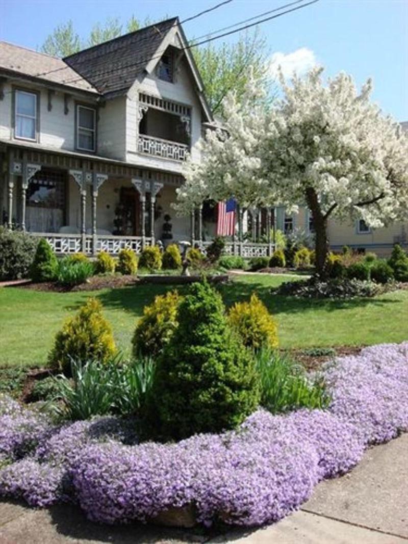 Rocking Horse Inn image