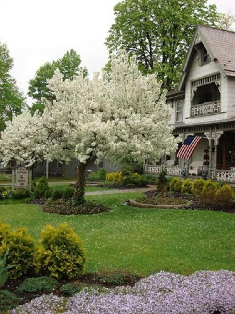 Rocking Horse Inn image