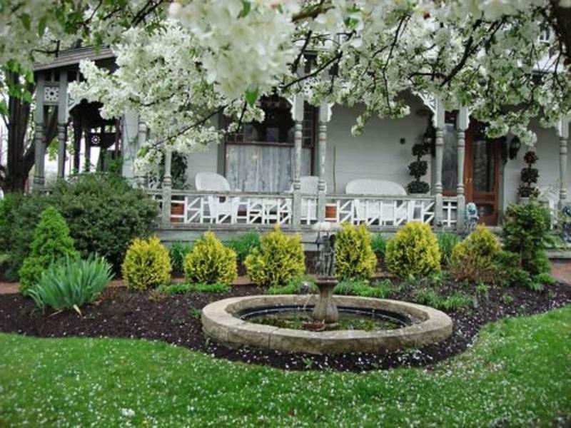 Rocking Horse Inn image