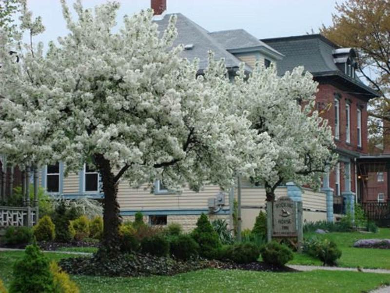 Rocking Horse Inn image