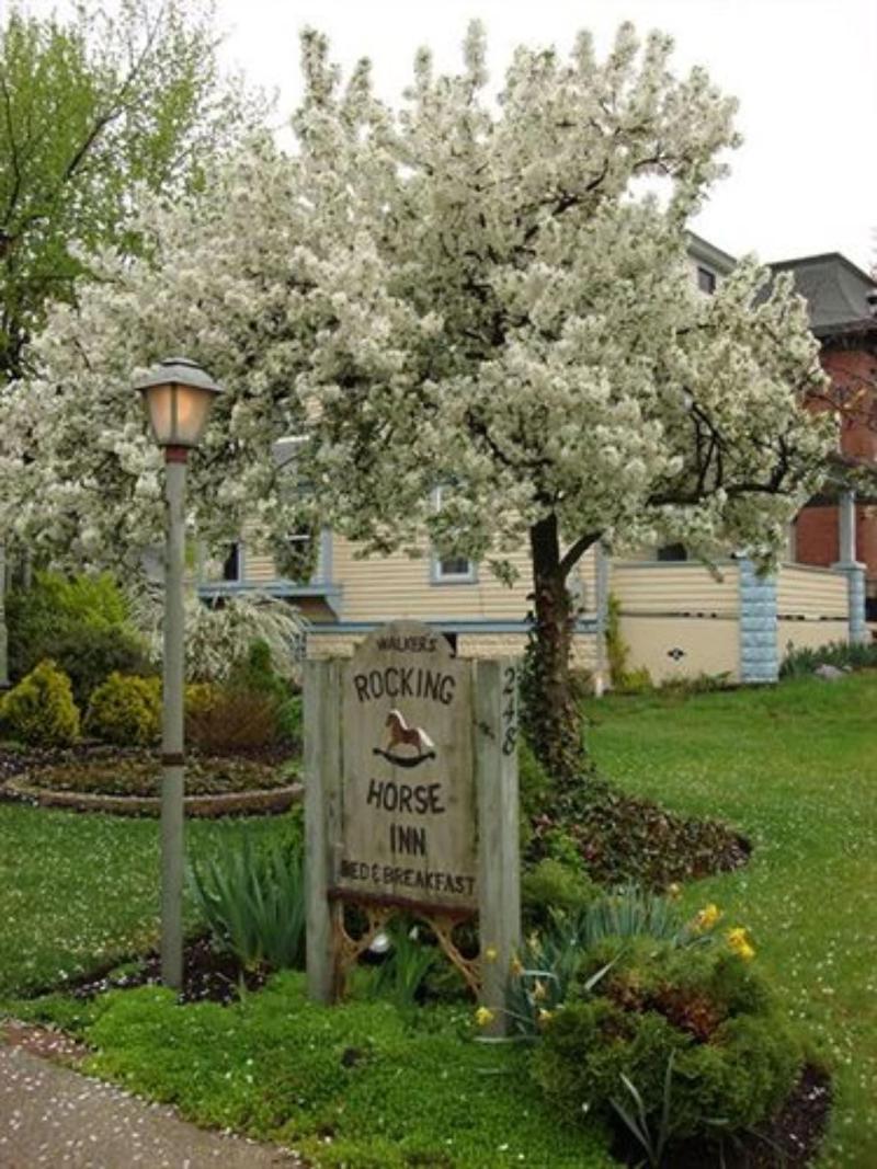 Rocking Horse Inn image
