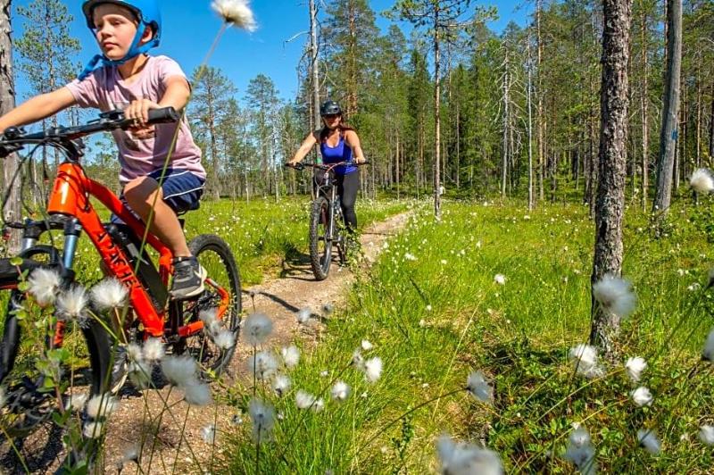 Best Western Ukkohalla Chalets