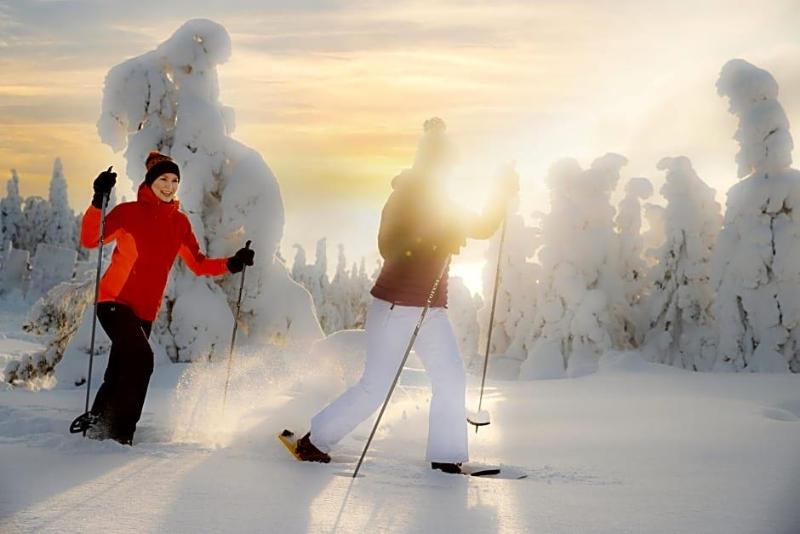 Best Western Ukkohalla Chalets