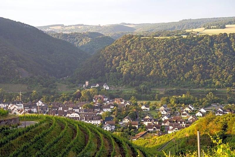 Moselblick image