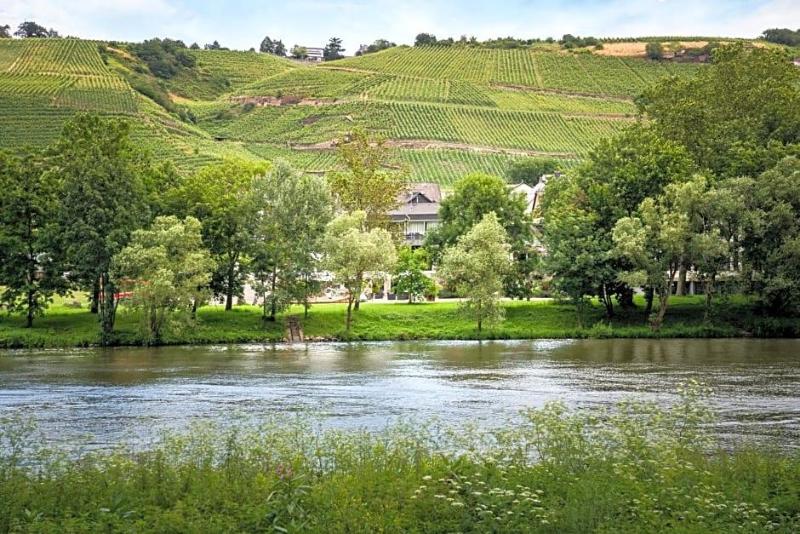 Moselblick image