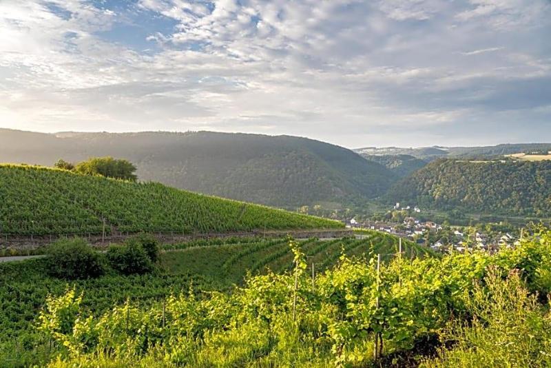 Moselblick image