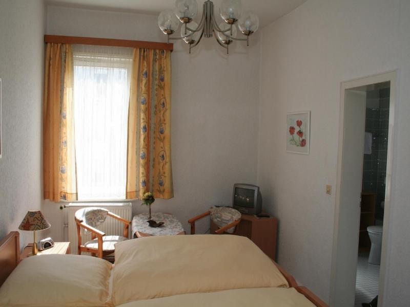 Fernblick image