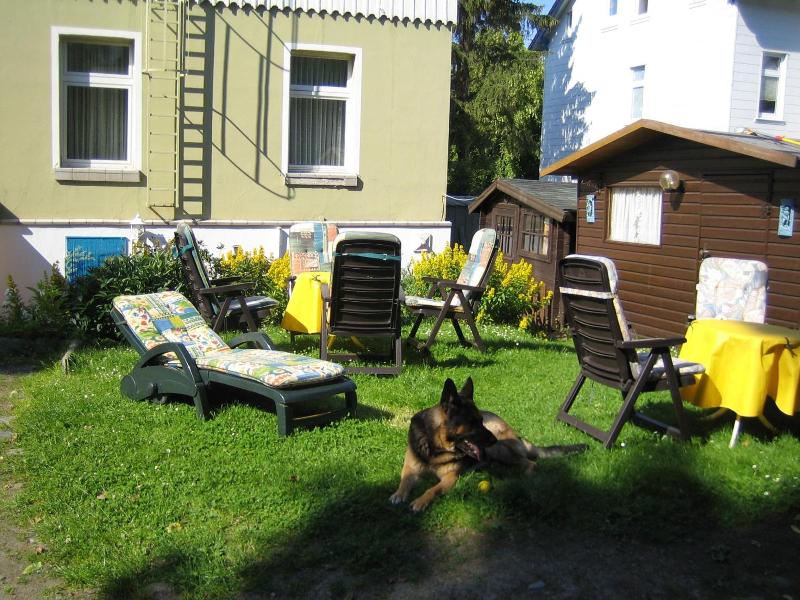 Fernblick image