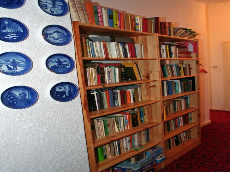 Fernblick image