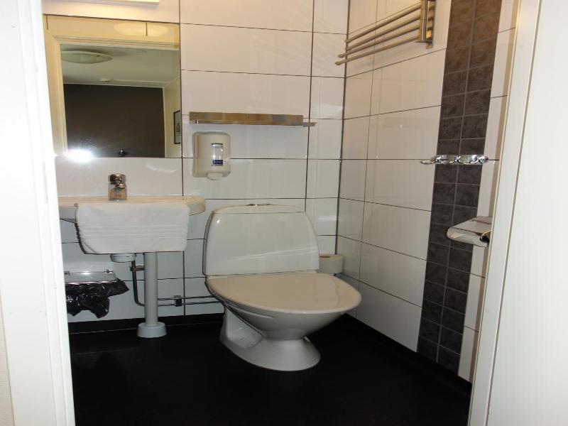 Hotell Svanen image