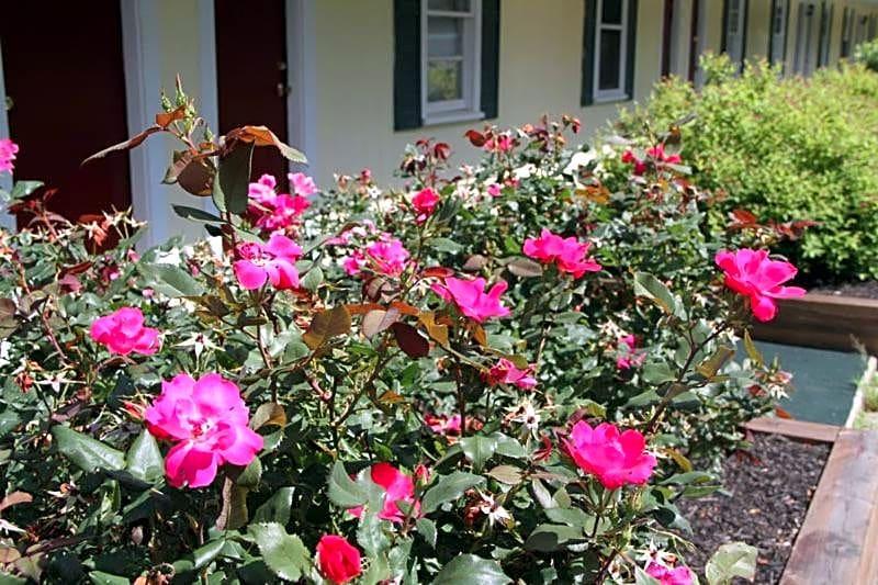 Lodge at Kennebunk image