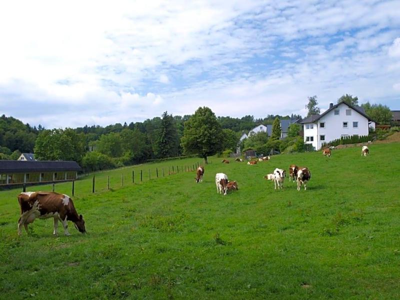 GreenLine Landhotel Henkenhof image